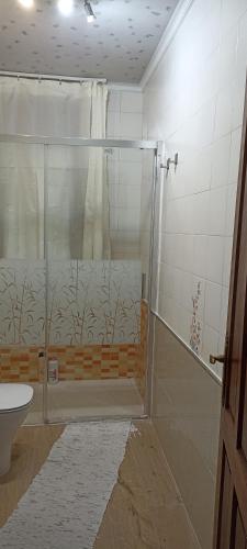 a bathroom with a shower with a toilet and a shower curtain at Eira do vento in Cangas de Morrazo