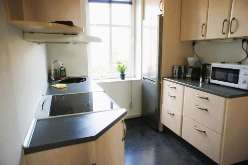 a small kitchen with a sink and a microwave at Id069 Englandsgade 13, 1th in Esbjerg