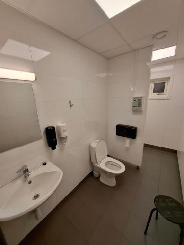a bathroom with a sink and a toilet at Eazy-Bed Norway's Smallest Hotel in Tromsø