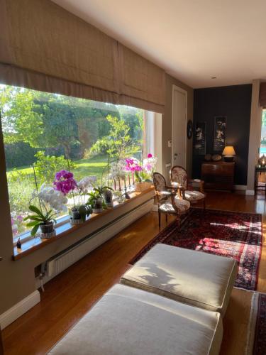 een woonkamer met een groot raam met potplanten bij Slow living beautiful villa in Rafina