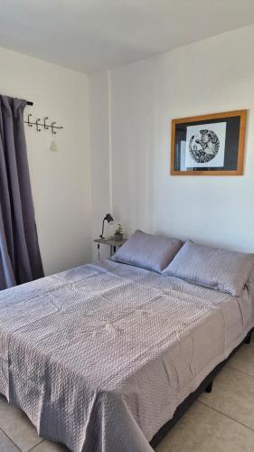 a bed in a bedroom with a picture on the wall at VitruApart Temporario in Resistencia