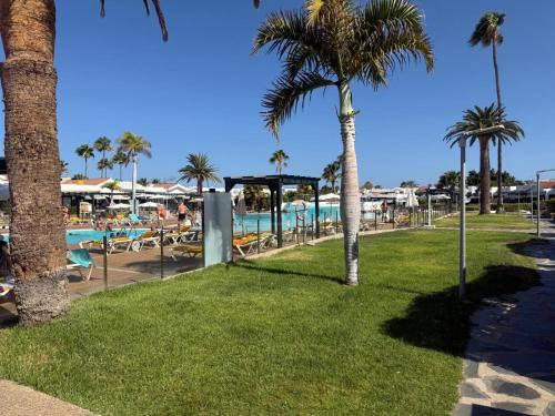 einen Park mit Palmen und einem Pool in der Unterkunft Europe sun bungalow 2 bedrooms in Maspalomas