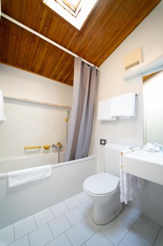 a bathroom with a toilet and a sink at Hôtel Magrappé in Veysonnaz