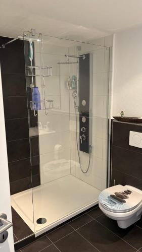 a glass shower in a bathroom with a toilet at LembergLodge Gosheim in Gosheim