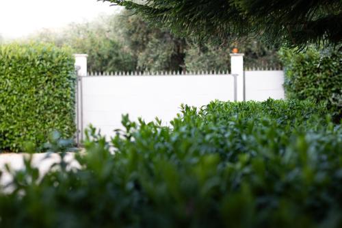 Zahrada ubytování Villa Pasitea - Nature & Sea Retreat in Gargano, Puglia