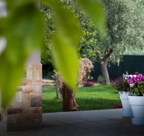 Zahrada ubytování Villa Pasitea - Nature & Sea Retreat in Gargano, Puglia