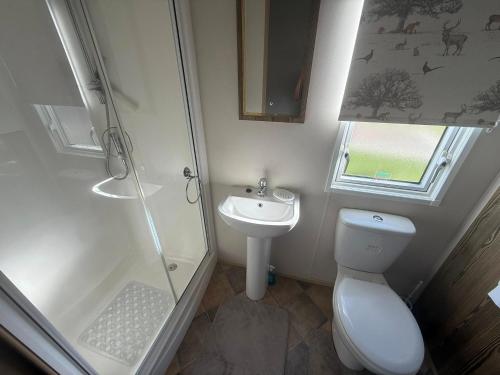 a bathroom with a shower and a toilet and a sink at Skegness Retreats The Grange F59 in Ingoldmells