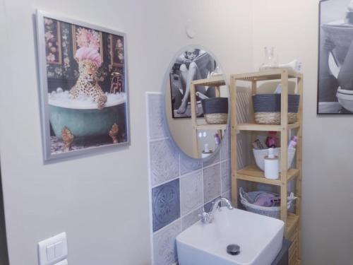 Loscouët-sur-MeuDetached house in a Breton farmhouse的浴室里有洗手池、马桶和镜子。