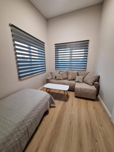 KarmėlavaにあるKambarių nuoma prie Kauno oro uostoのソファとテーブルのあるリビングルーム