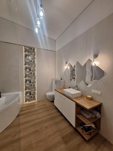 KarmėlavaにあるKambarių nuoma prie Kauno oro uostoの洗面台とトイレ付きのバスルーム