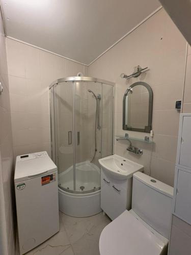 a bathroom with a shower and a toilet and a sink at MW Leo Apartament in Konin