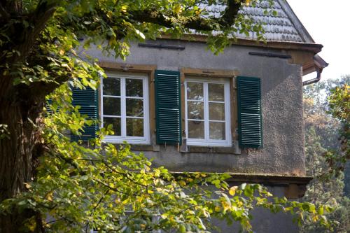 a building with green shuttered windows and a tree at VILA VITA Burghotel Dinklage in Dinklage