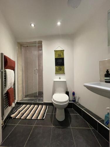 a bathroom with a toilet and a shower at The Loft St Austell in St Austell