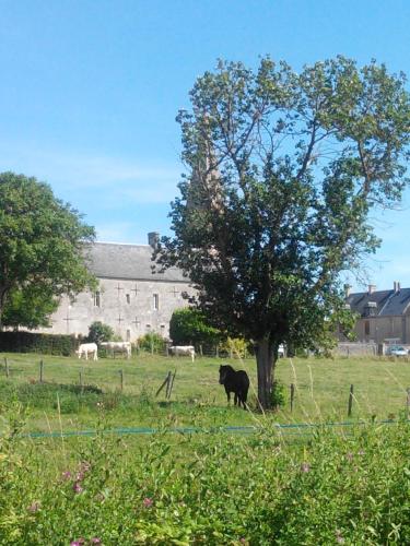 Gallery image of Gîte de charme Floréales Les Myosotis in Asnelles
