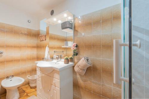 een badkamer met een wastafel, een toilet en een douche bij Gary Vallée in Sazos