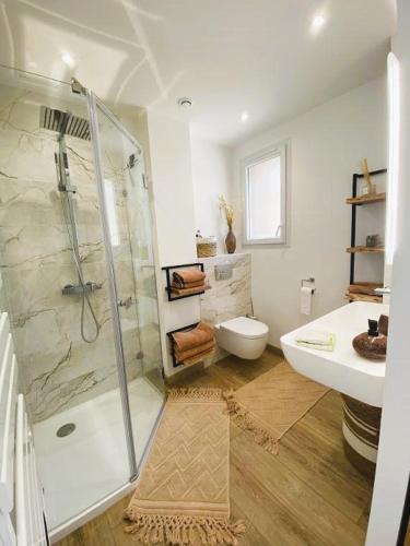a bathroom with a shower and a toilet and a sink at Chambre Chic et Charme dans Moulin-Piscine in Rouessé-Vassé