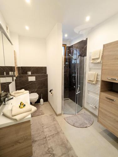 a bathroom with a shower and a toilet and a sink at Ferienhaus am Gässchen in Edesheim