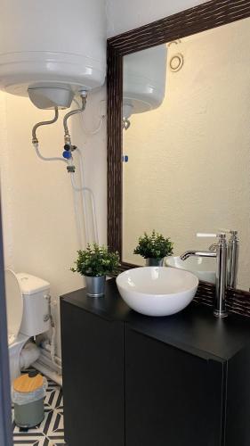 un baño con lavabo y espejo en Studio Bord Loire, en La Riche