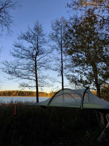 a tent sitting in the grass next to a lake at Tree tents Camping in Matuļi