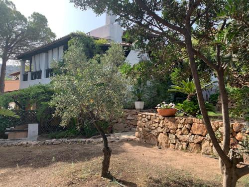 Κήπος έξω από το Villa Marina