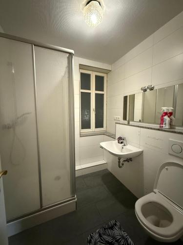 a bathroom with a shower and a toilet and a sink at Hotel Nassauer Hof Frankfurt in Frankfurt/Main
