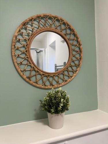 a mirror on a shelf with a potted plant at 4 School Path in Ironbridge