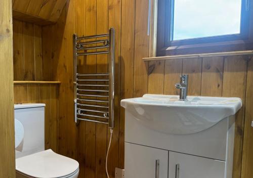 a bathroom with a sink and a toilet at The Apple Rest in Snitterfield