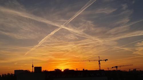 Gallery image of Sudi Homestay in Amed