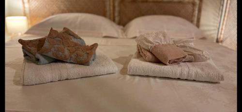 萨萨里Campus room的床上几条毛巾