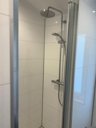 a shower with a glass door in a bathroom at Cottage Tjill 6 pers Loonse en Drunense duinen en Efteling in Kaatsheuvel