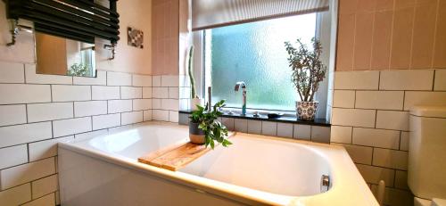 Terrace 185 by Switchback Stays photo 18