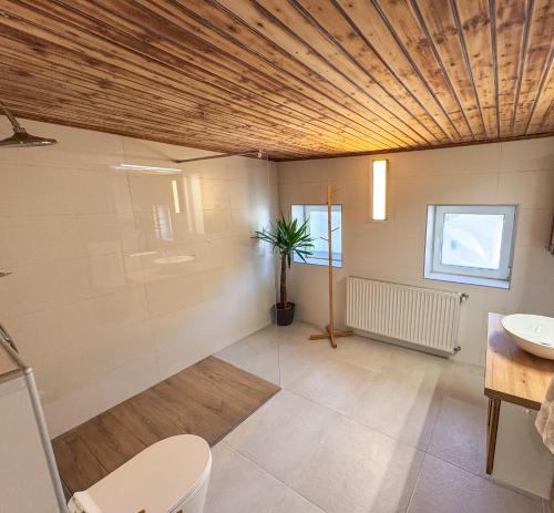 a bathroom with a toilet and a sink at White Pearl Apartment in Murau
