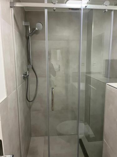 eine Dusche mit Glastür im Badezimmer in der Unterkunft Appartement 1 in Stuttgart