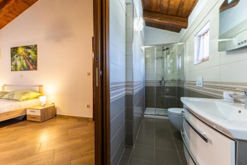 a bathroom with a shower and a toilet and a sink at Villa Mainenti in Višnjan