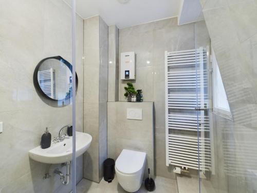 a bathroom with a toilet and a sink and a mirror at Villa am Staderhof in Leichlingen