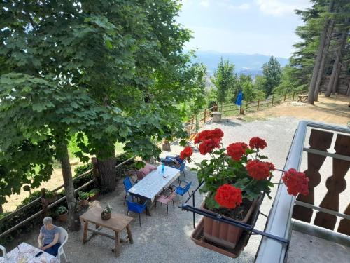 a table and chairs with red flowers on a balcony at Barino Pietragavina 