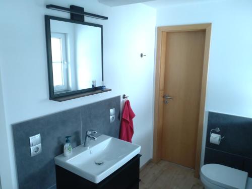 a bathroom with a sink and a mirror and a toilet at Jochen's Haus - Rooms - WiFi - TV in Siershahn