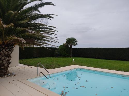 a swimming pool in a yard with a palm tree at Médis Royan Saujon in Médis