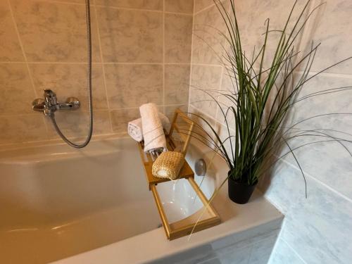 bagno con vasca e pianta di Cottage Wisteria a Prasco