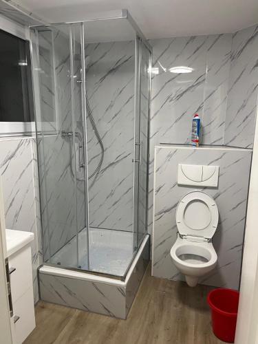 ein Badezimmer mit Dusche und Toilette in der Unterkunft Apartment in einem ehemaligen Hotel in Stuttgart