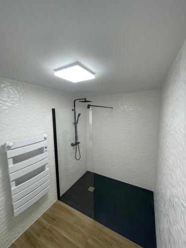 a bathroom with a shower with a glass door at Au Petit Casino in Vuillafans