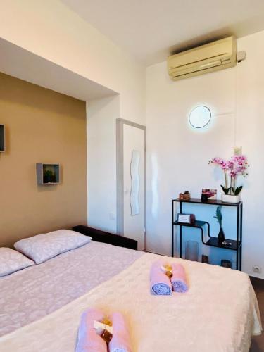 Studio Rénové et Meublé Le Cœur de Nice à Vos Pieds