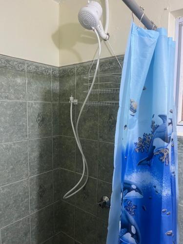 een douche met een dolfijndouchegordijn in een badkamer bij Mountain View Apartments in Gros Islet