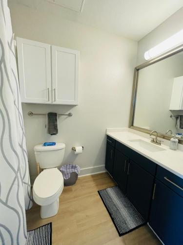 a bathroom with a toilet and a sink and a mirror at Cozy, Charming, and Chic Stay in Dallas