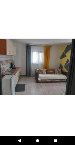 a living room with a bed and a kitchen at Garsoniere in Târgu Jiu