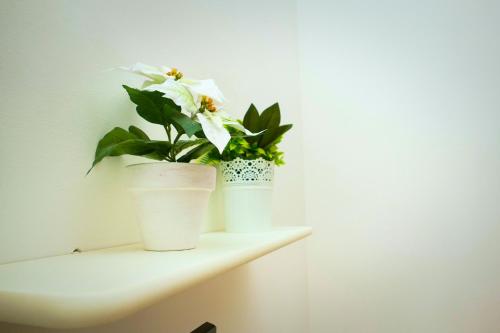 Annarella's Home photo 21