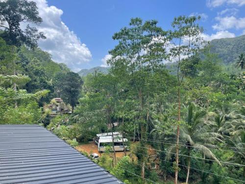 a bridge over a river in a jungle with trees at Sinharaja Eliphinity Hotel and Restaurant in Nikawatawana