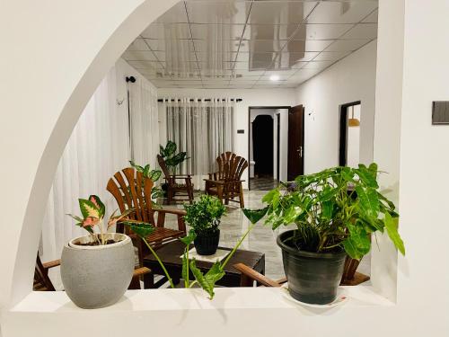 a room with potted plants on a table at Junction 14 Villa in Dikwella North