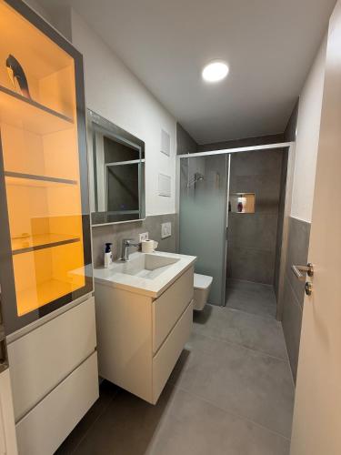 a bathroom with a sink and a shower and a toilet at Ferienwohnung am Schloss in Erbach