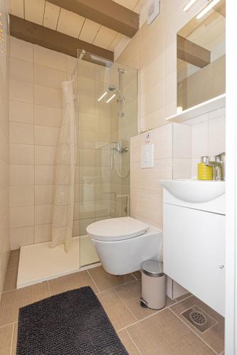 a bathroom with a shower and a toilet and a sink at Rural Villa Olive Krka- 4 bedrooms, 3 bathrooms, private pool, park Krka 10 min in Ljubotić